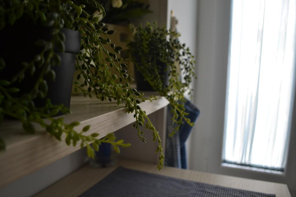 Vintage Home Монополи Екстериор снимка